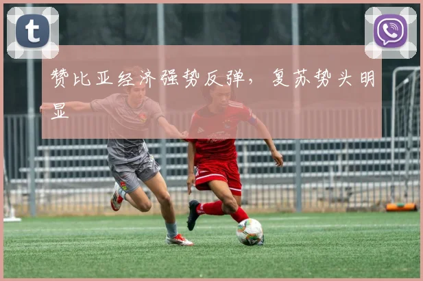 赞比亚经济强势反弹，复苏势头明显