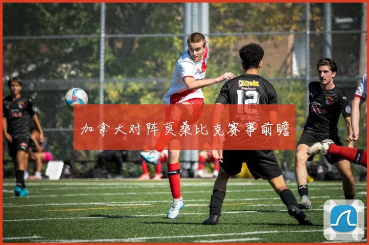 加拿大对阵莫桑比克赛事前瞻