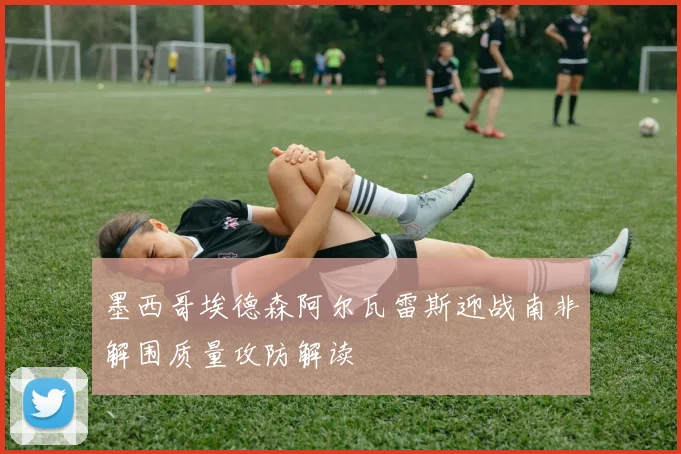 墨西哥埃德森阿尔瓦雷斯迎战南非解围质量攻防解读