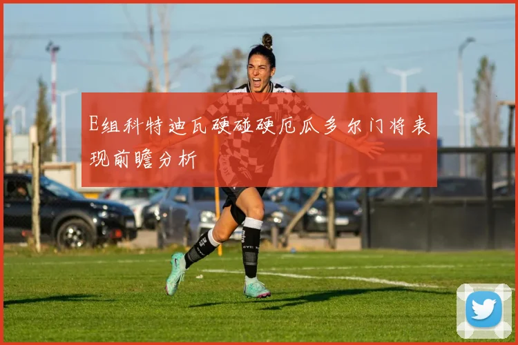 E组科特迪瓦硬碰硬厄瓜多尔门将表现前瞻分析