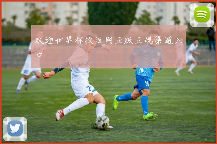 欢迎世界杯投注网正版正规渠道入口
