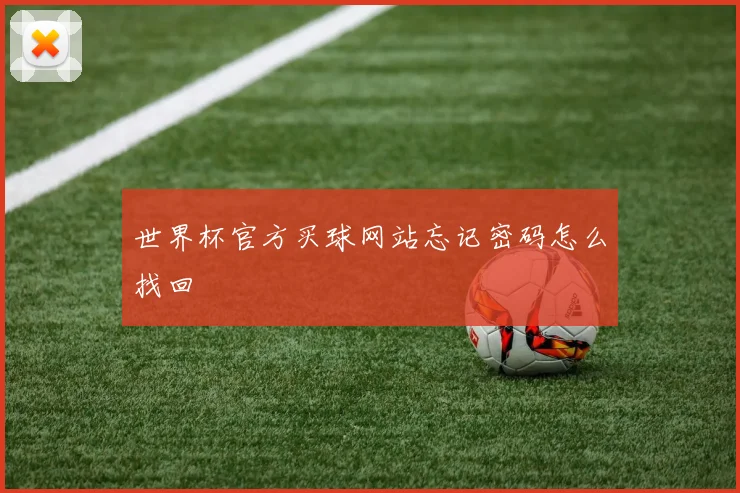 世界杯官方买球网站忘记密码怎么找回